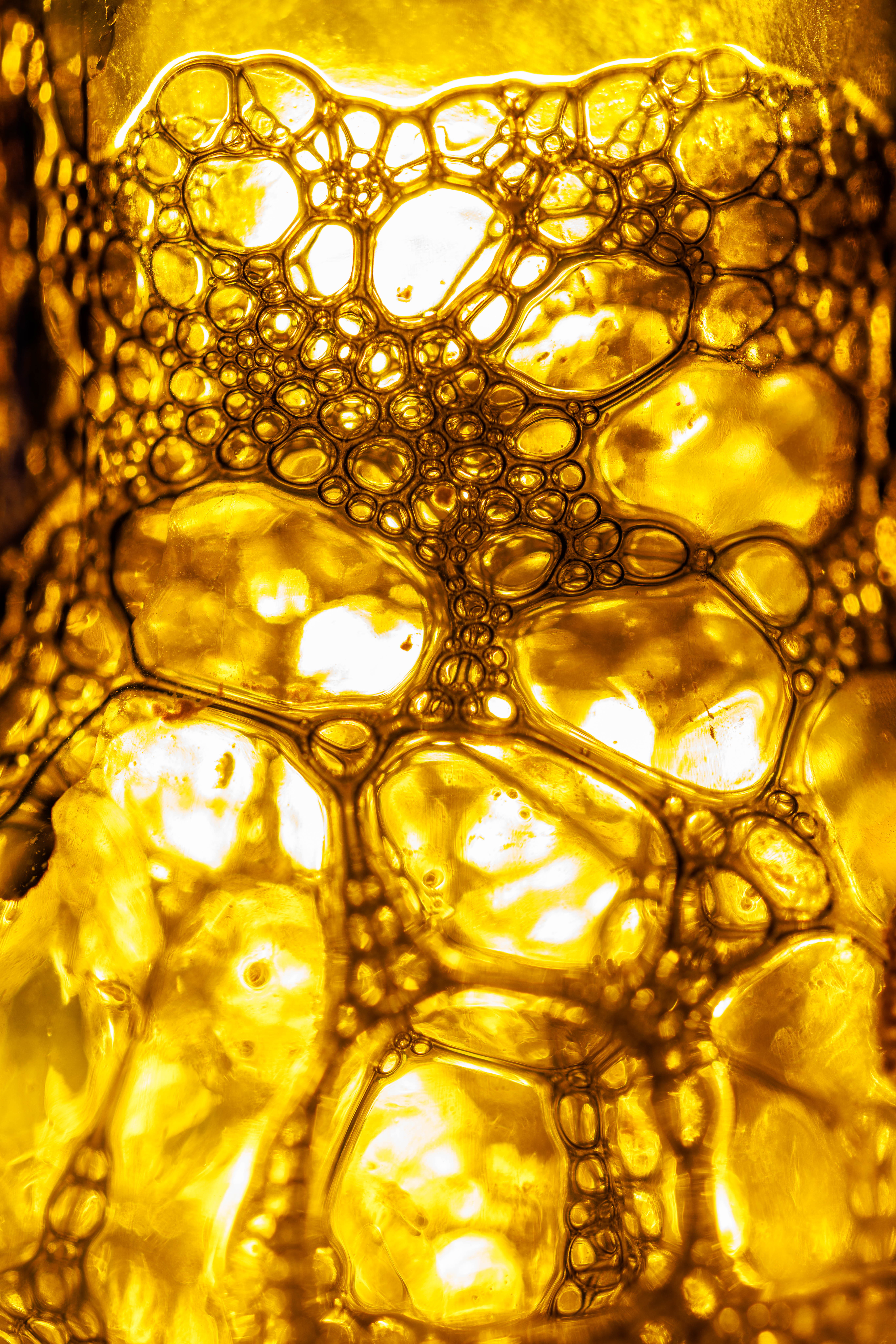 Macro close-up of glowing golden bubbles in a sparkling drink
