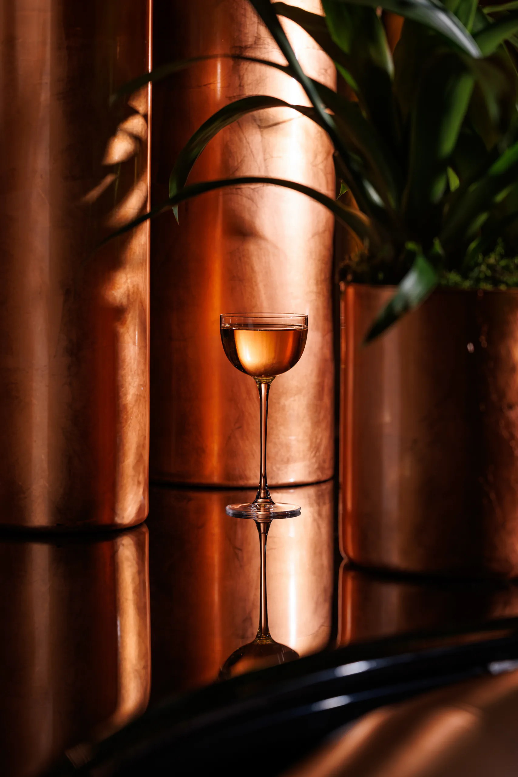 Tall stemmed cocktail against a copper wall with plants — Hotel Principe di Savoia, Milan