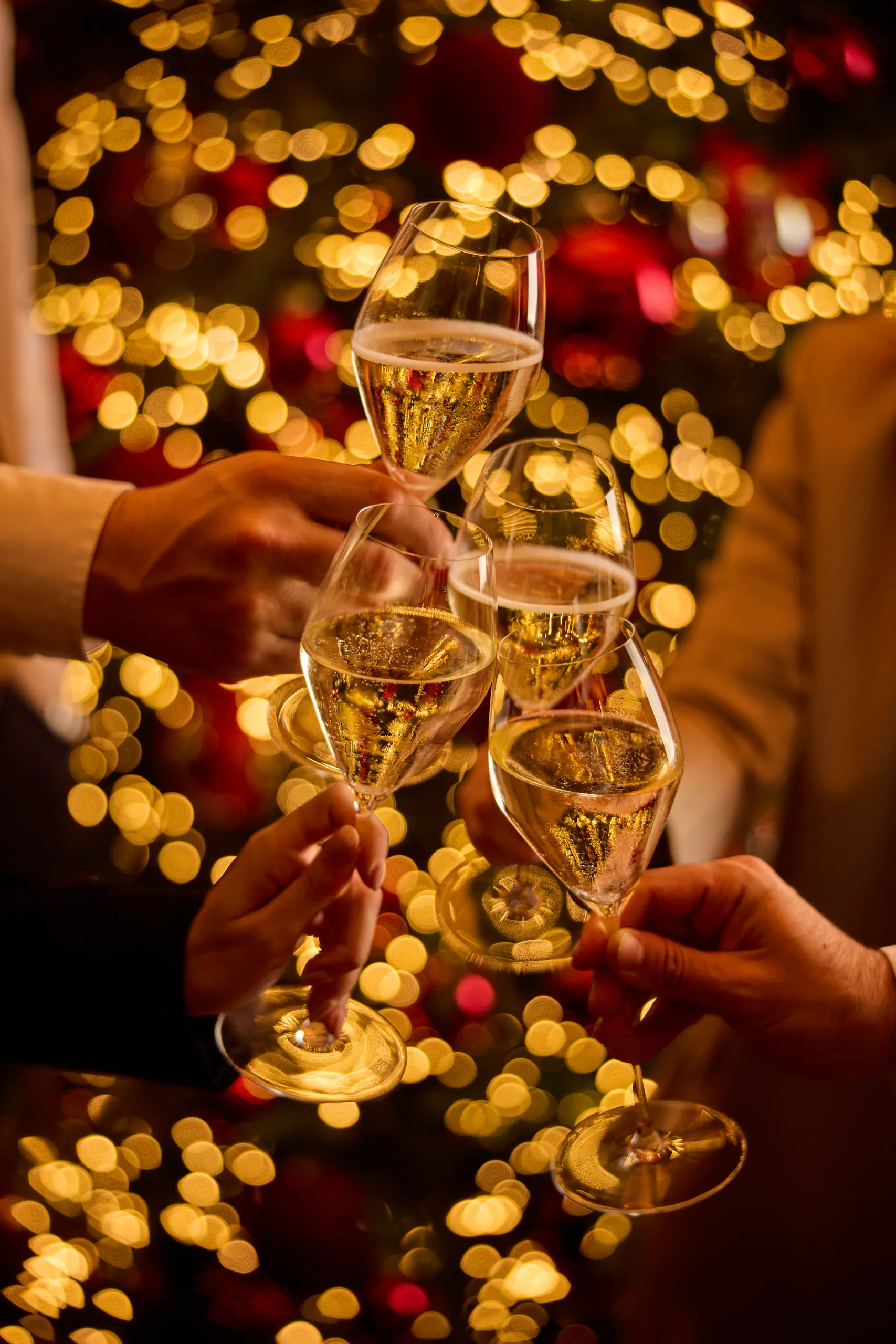 Group toasting with sparkling wine in front of Christmas lights — Minerva