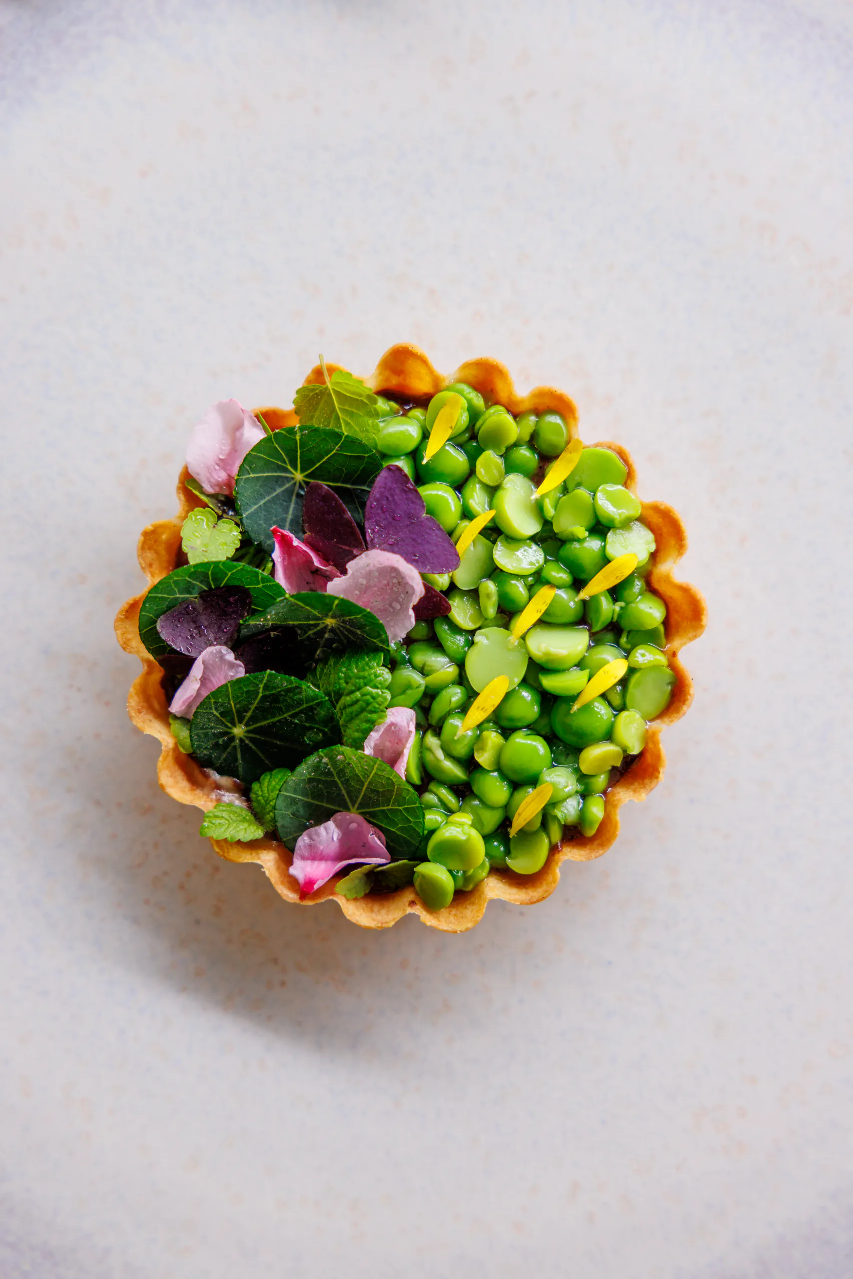 Pea and edible-flower tartlet seen from above - Sintesi, Ariccia, Italy