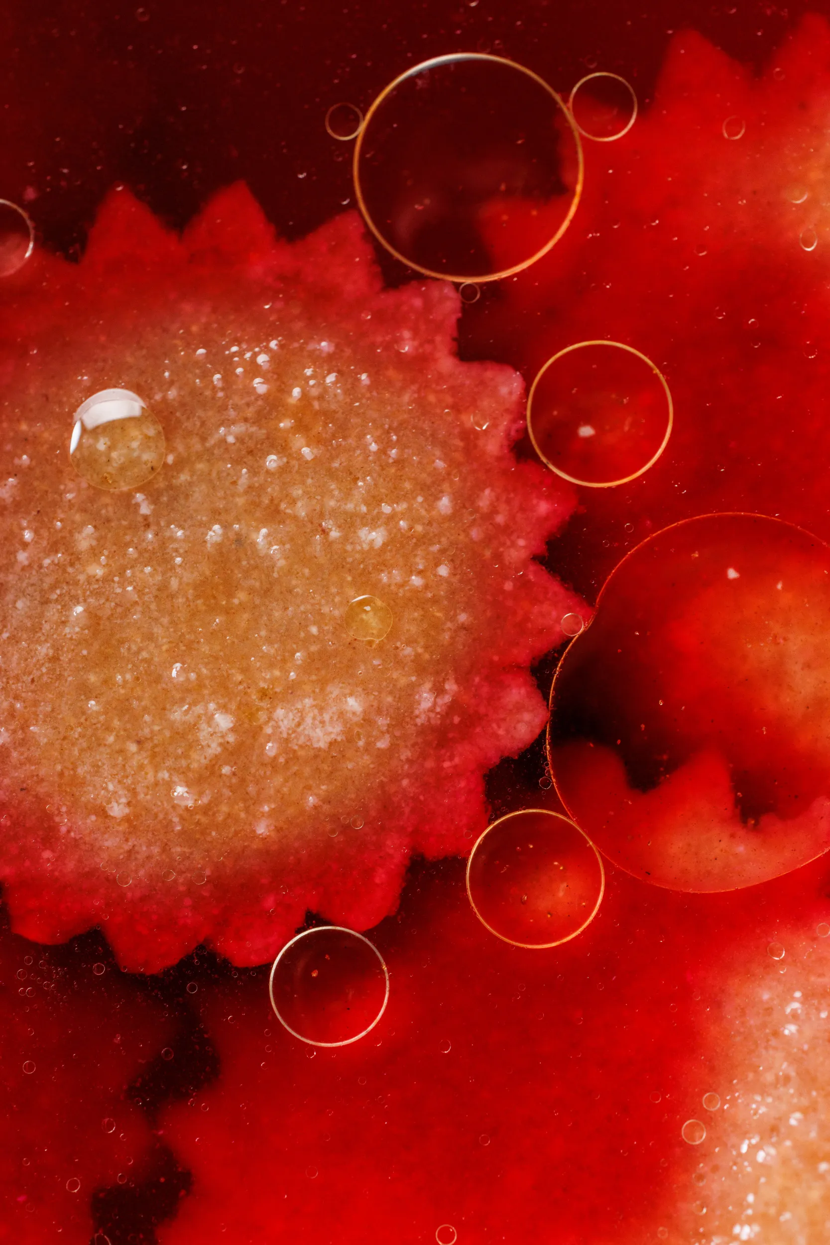 Macro close-up of a raviolo in red broth - Sintesi, Ariccia, Italy