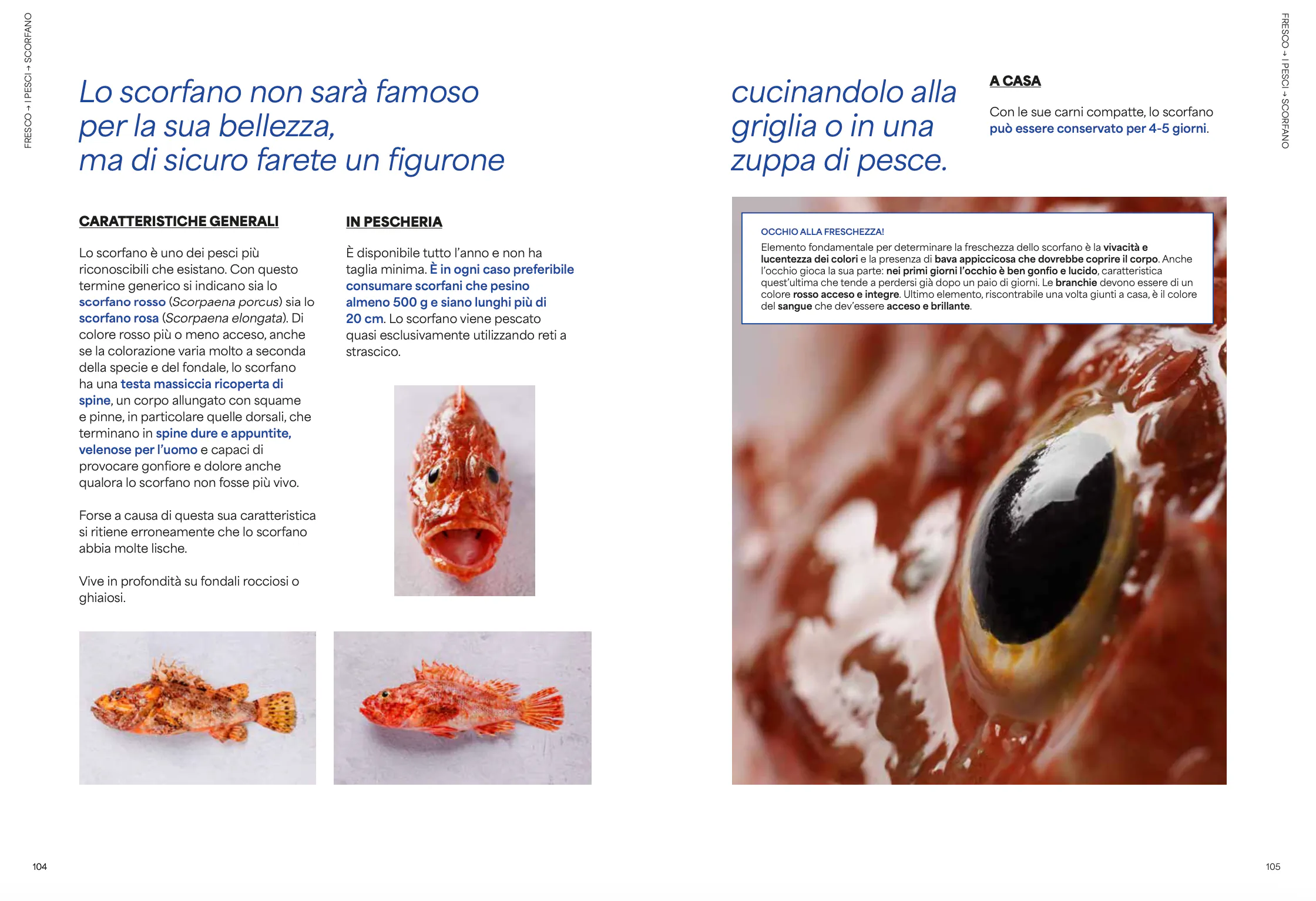 FRESCO — Topic (ITA)