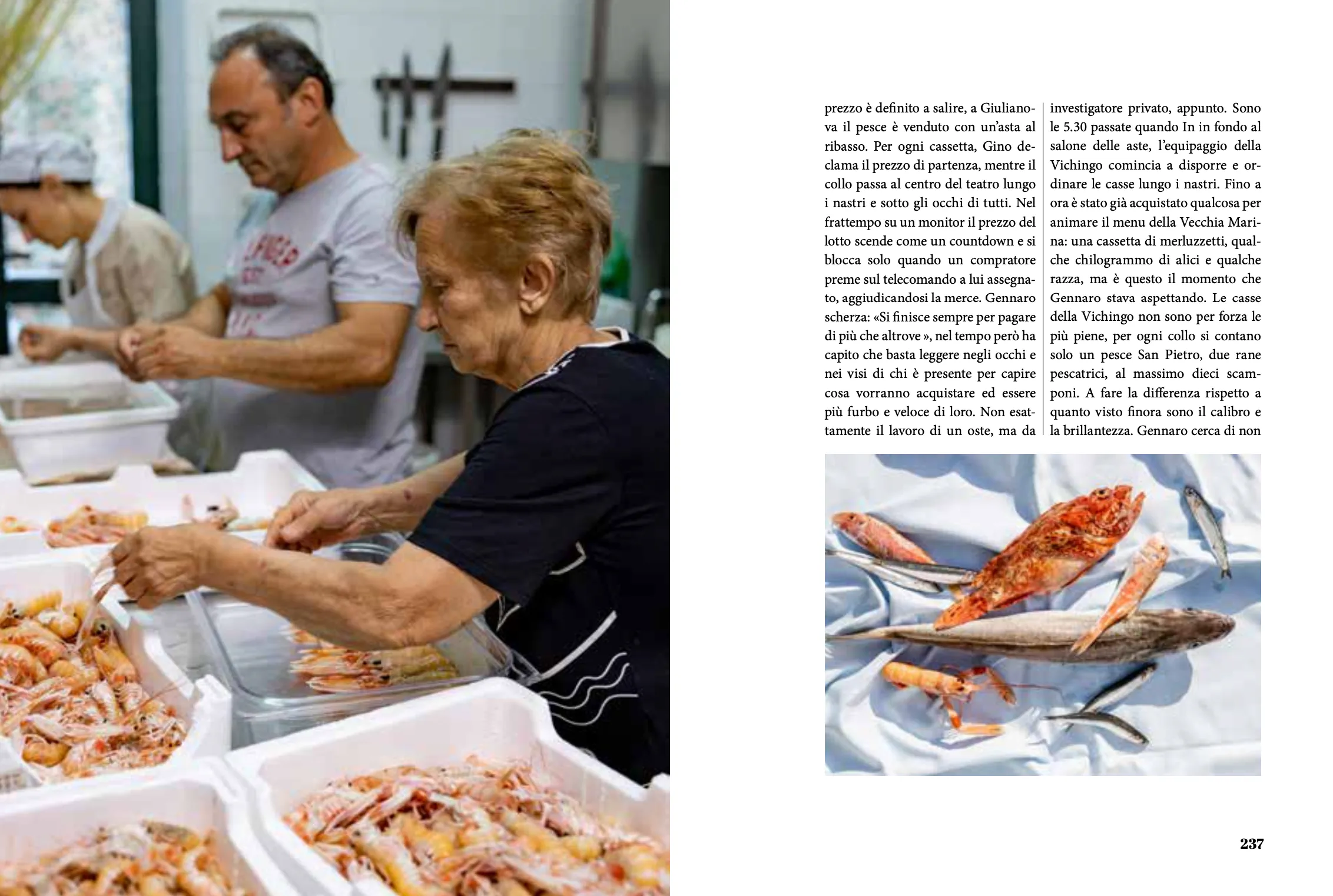 OSTINATI — Slow Food Editore