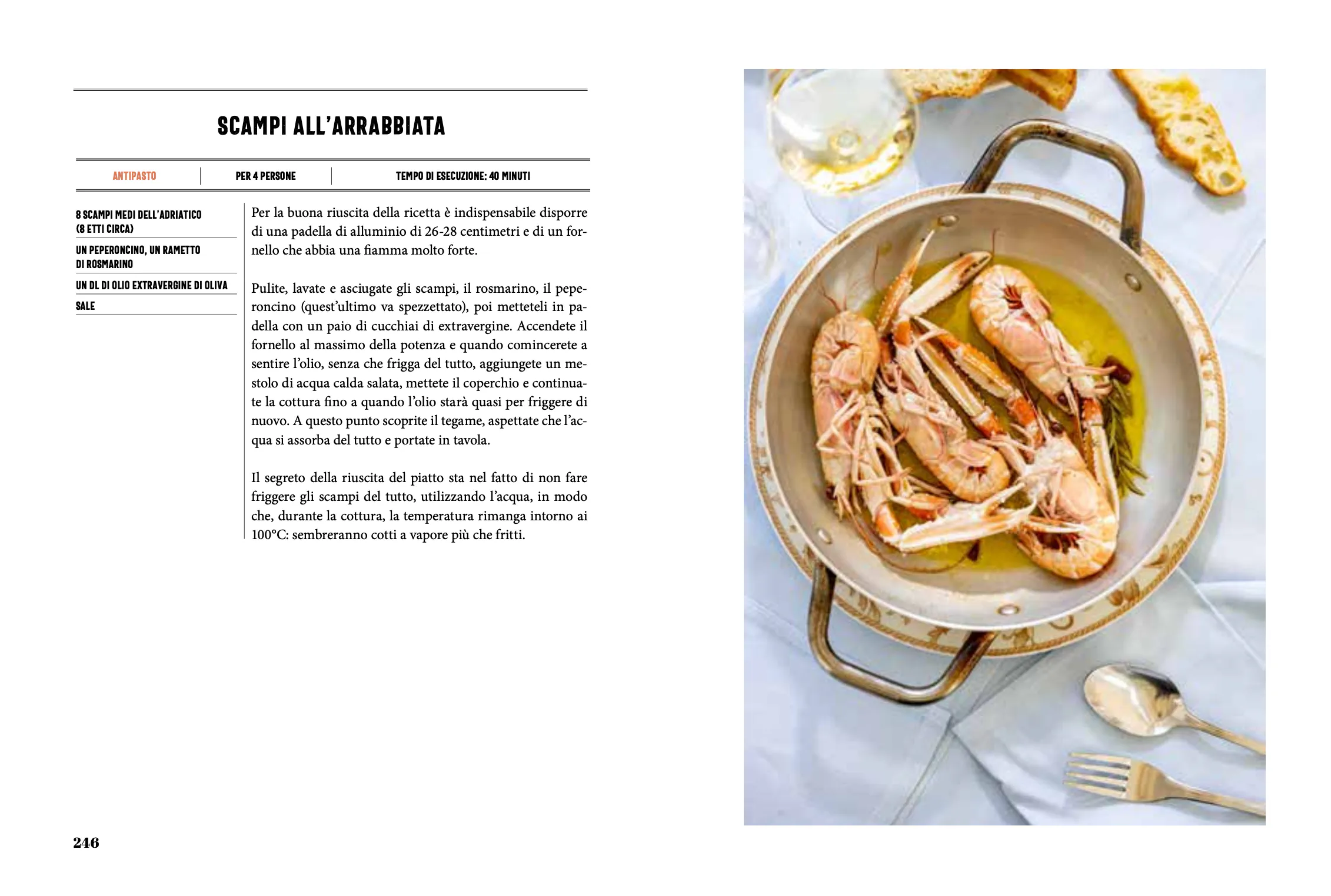 OSTINATI — Slow Food Editore
