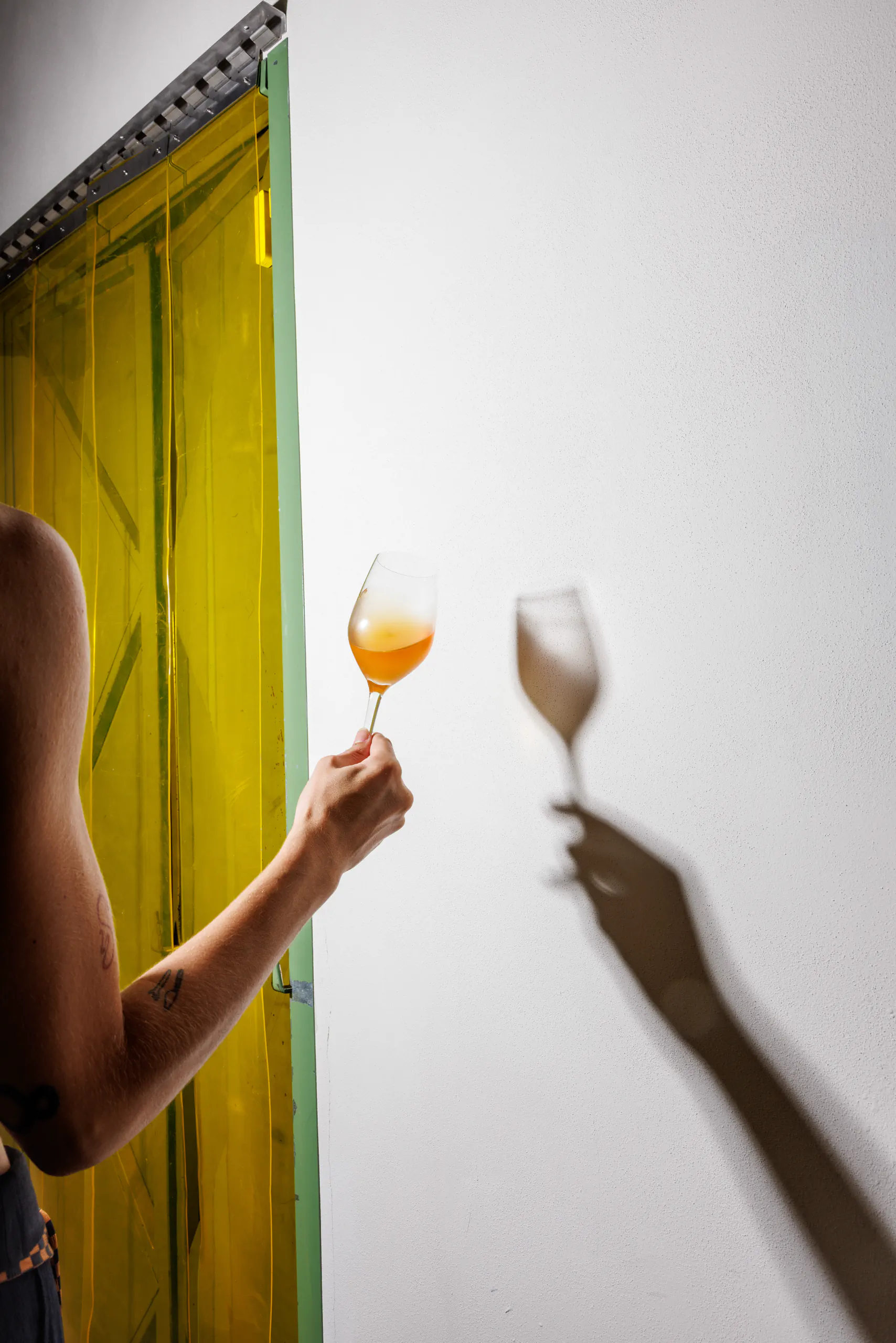 Person holding a glass of amber wine up to a bright window, casting a shadow