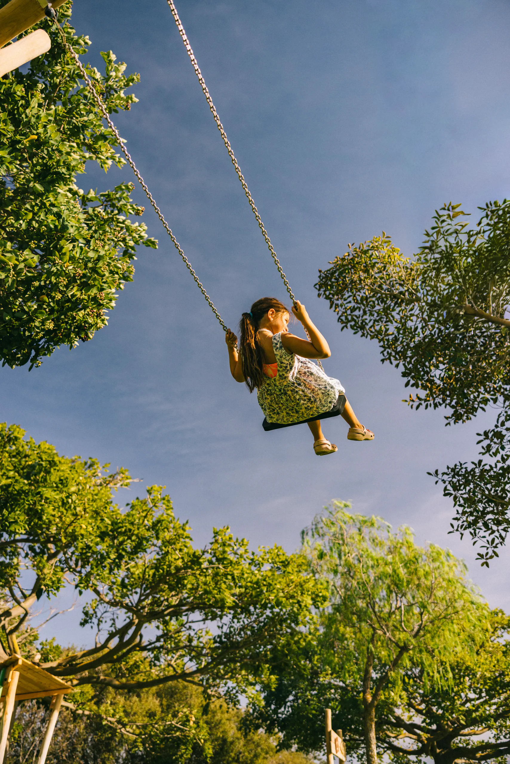 Person on a swing among trees against a blue sky