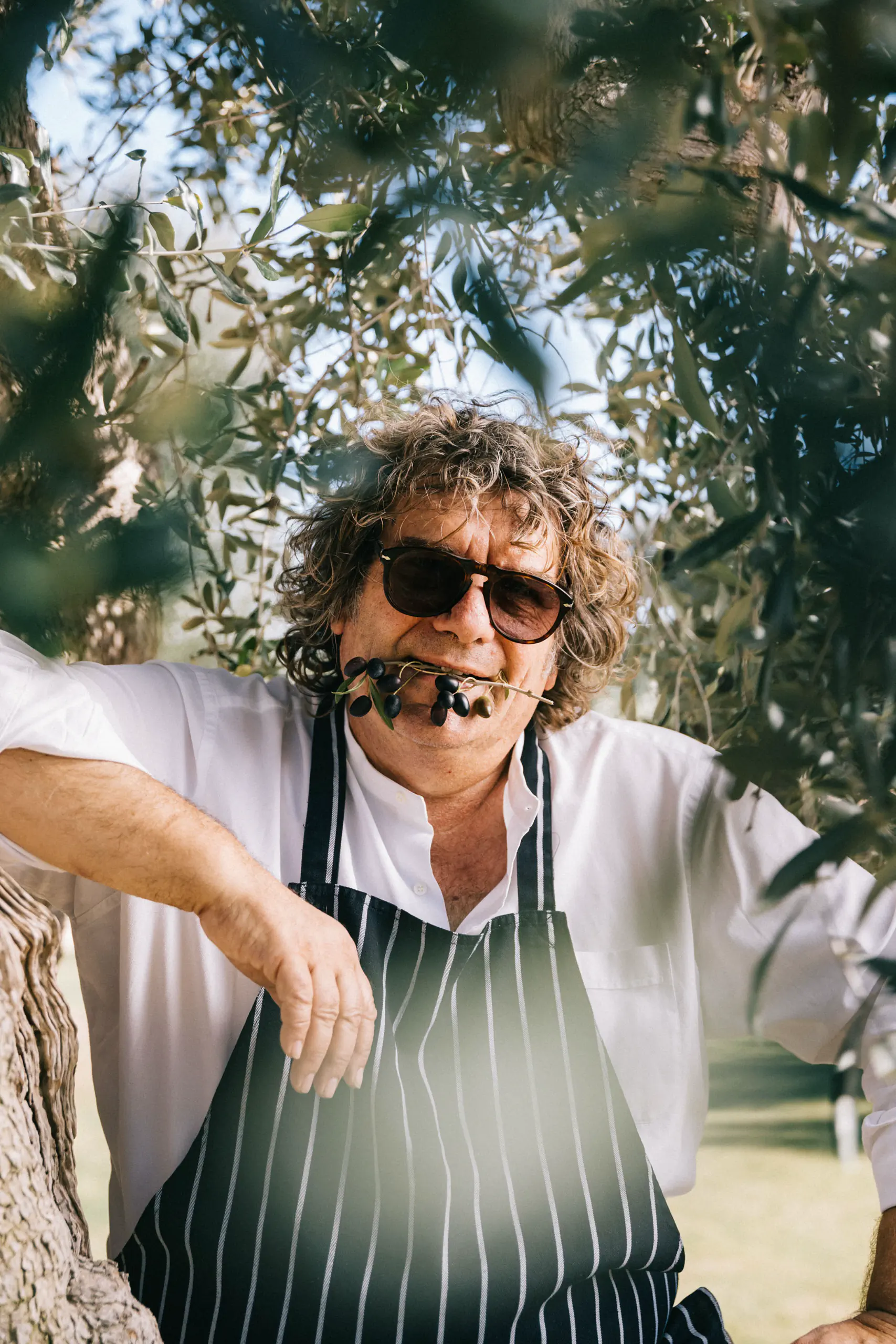 Man in sunglasses and an apron in an olive grove