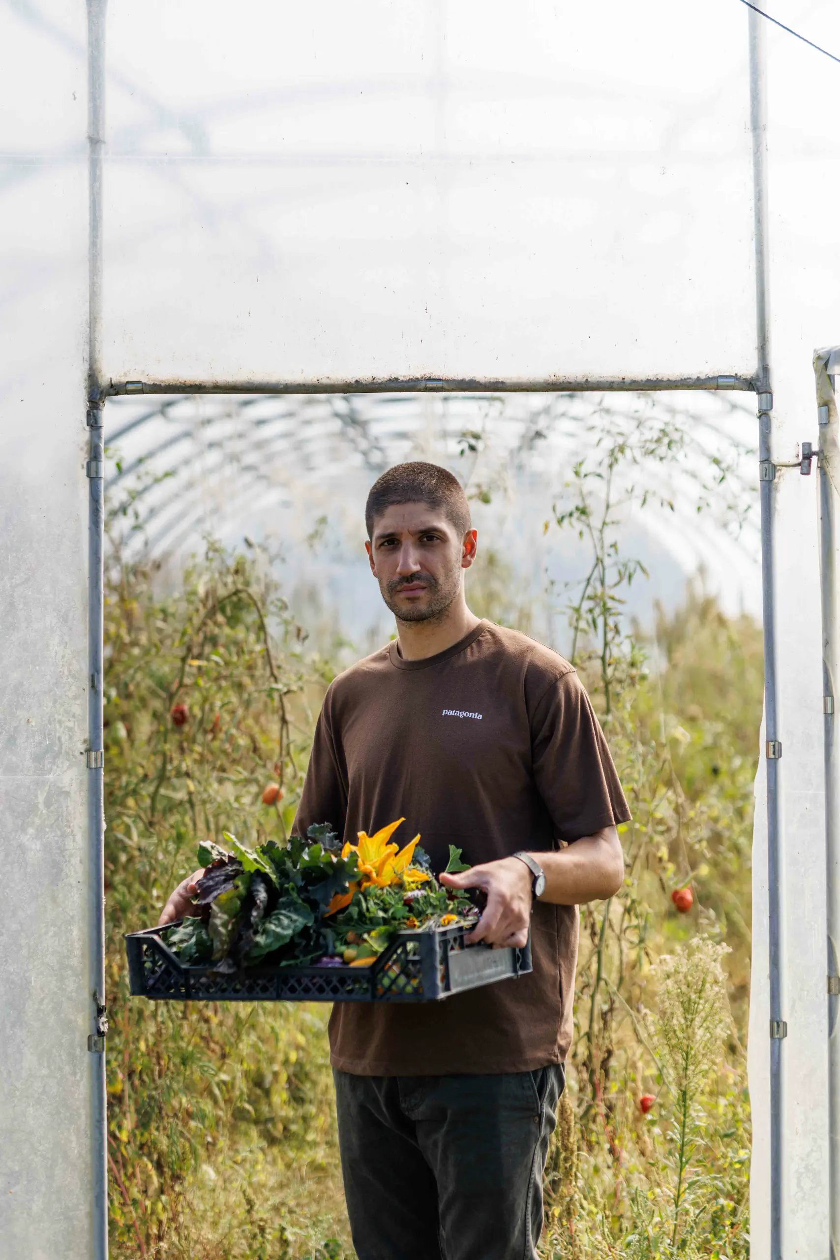 Man holding a crate of produce in a greenhouse doorway