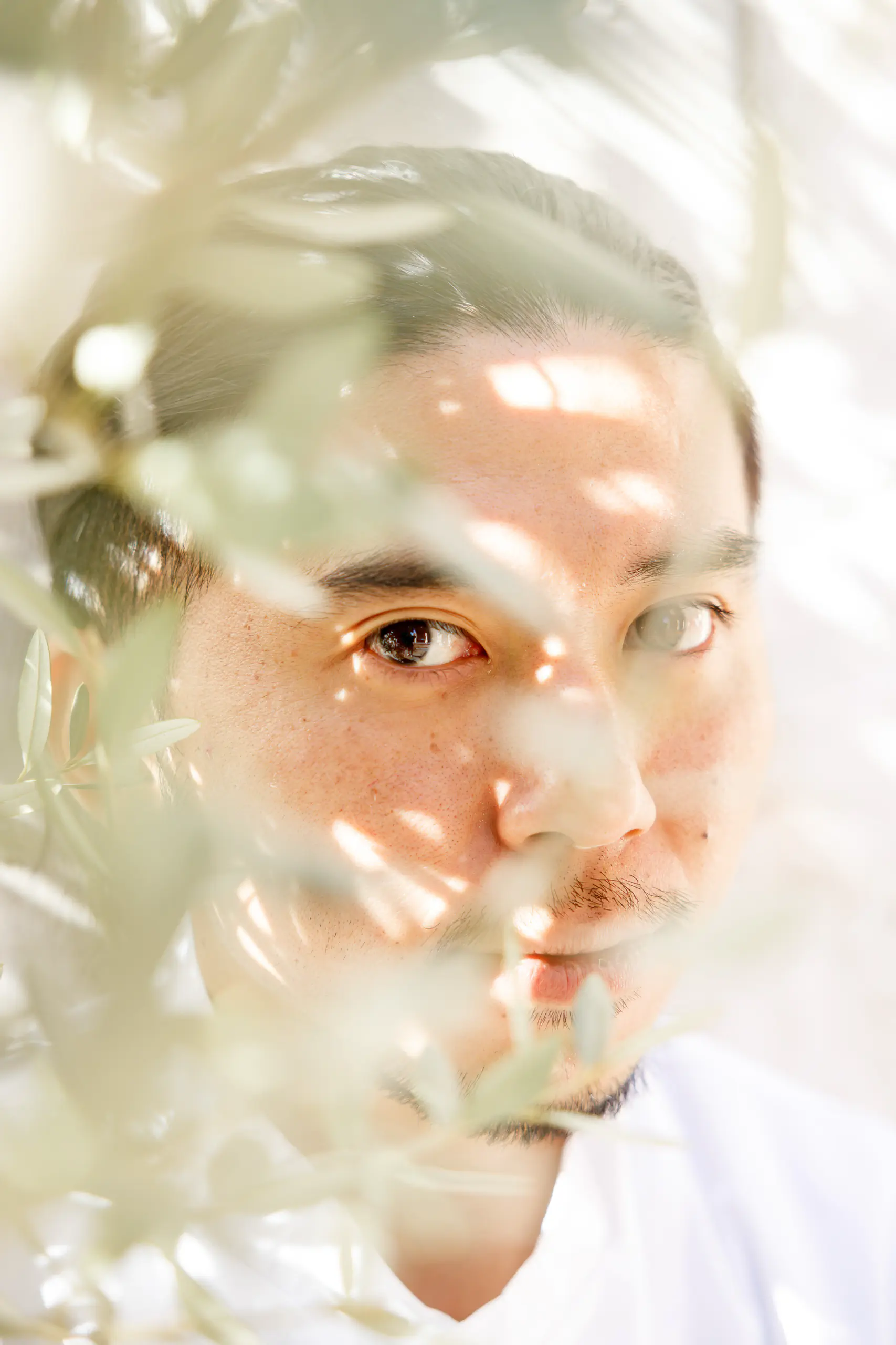 Portrait of a man's face seen through blurred foliage