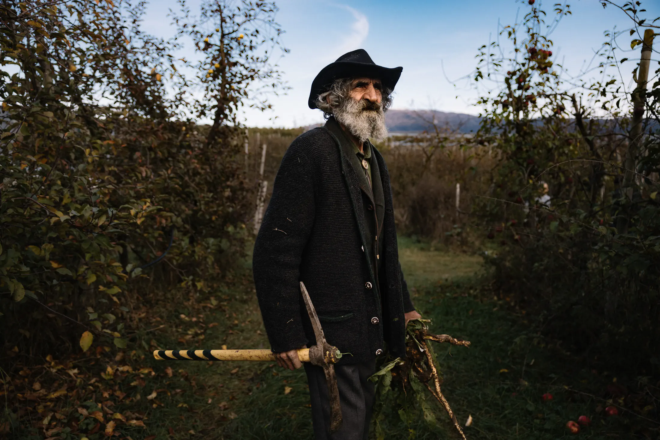 Older bearded man in a hat standing in an autumn garden holding a tool