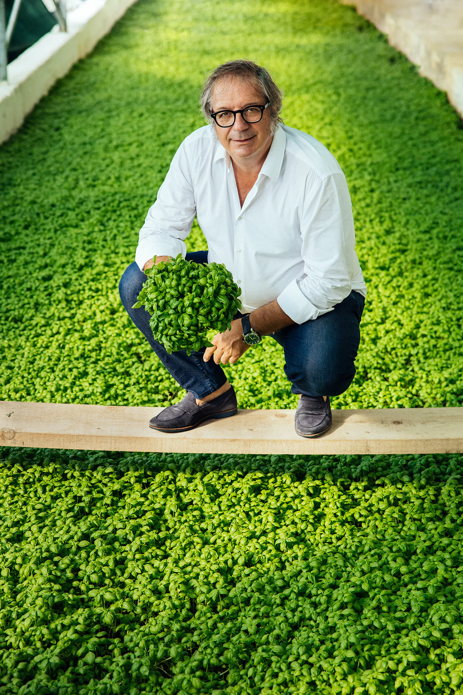 Man crouching on a lush green lawn, seen from above