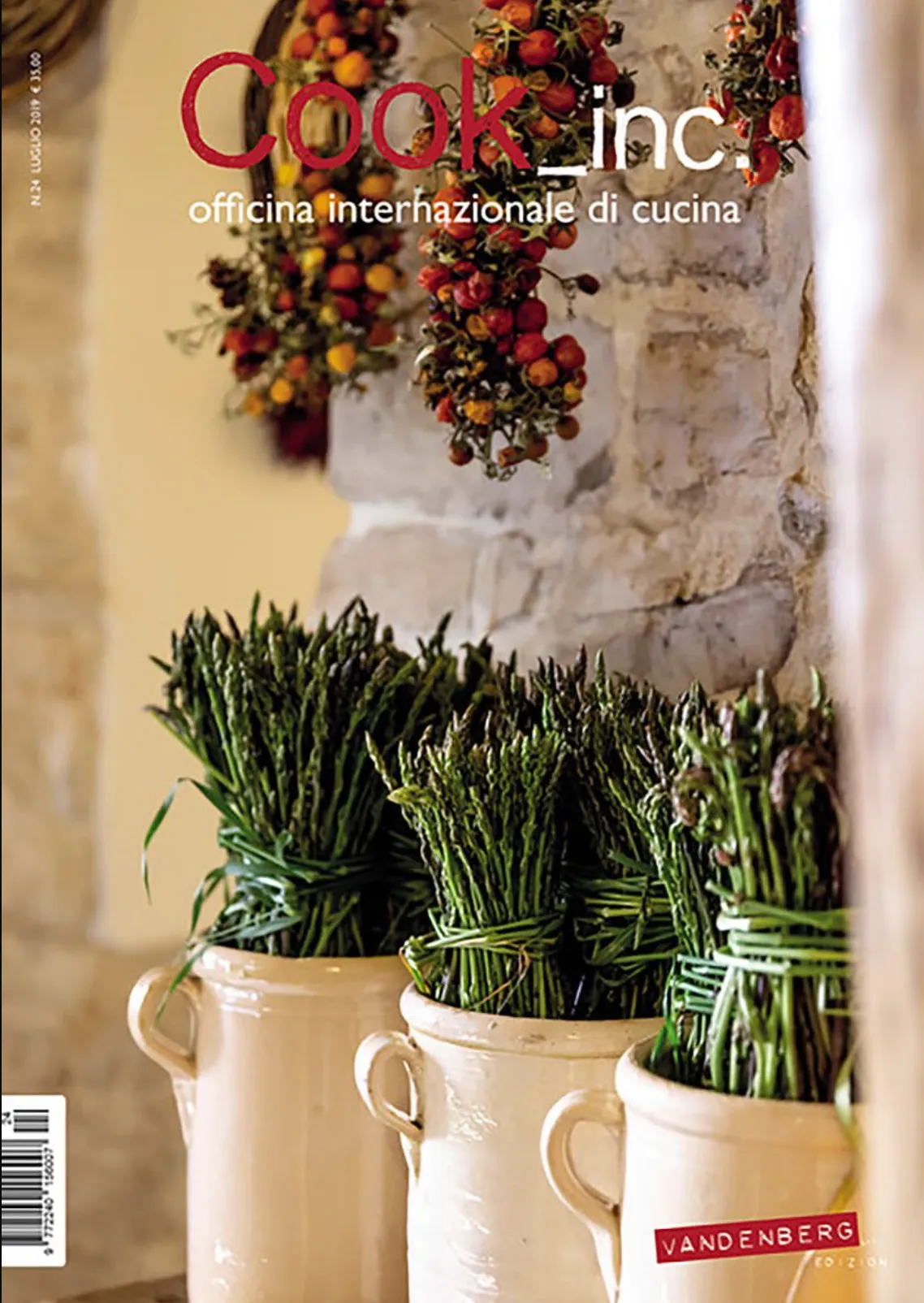 Cook Inc - Italy